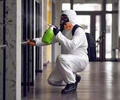 Why You Should Choose Our Mold Remediation Services in Mapleton, UT